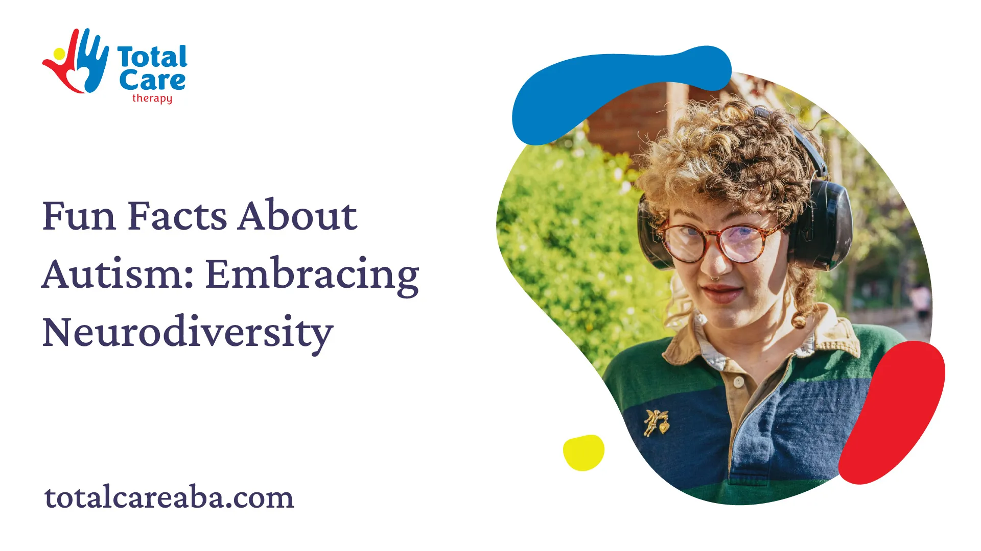 Fun (band) intelligence overview